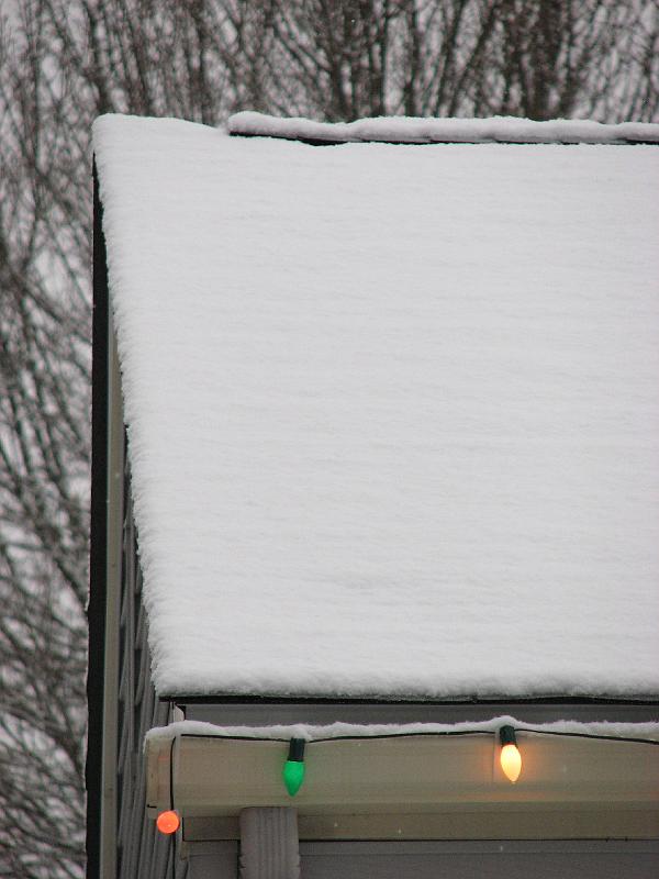 2008-12-07_First_Snow 021.jpg